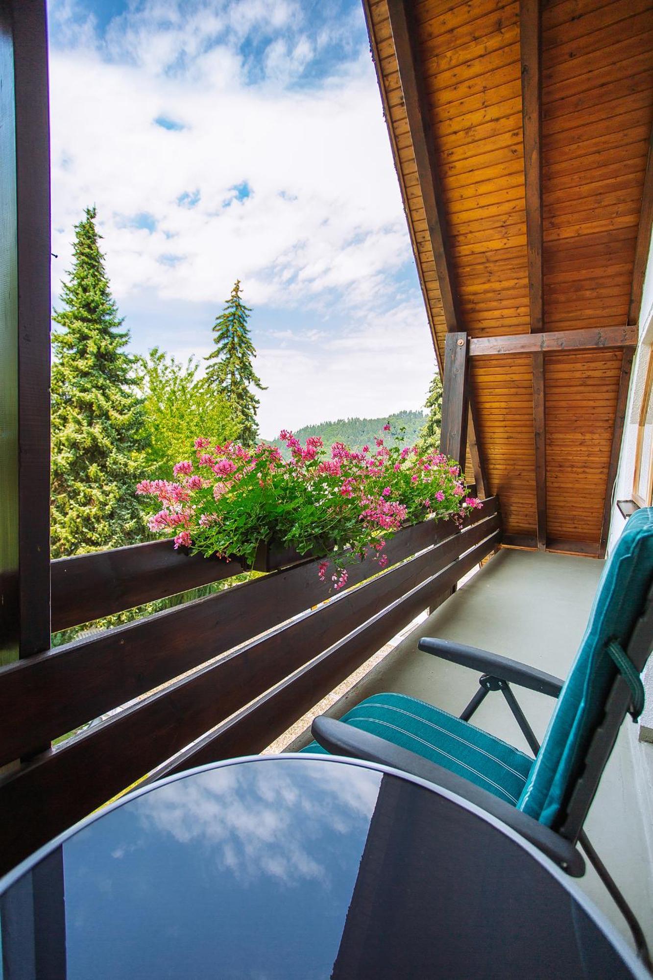 Apartment Am Tannenweg 바덴바일러 외부 사진